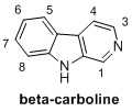 beta-carboline webpage